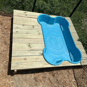 Southern Pine Kennels - Pool for water days - Pet Training Near Me - Blackshear, Georgia Southern Pine Kennels - Pool for water days - Pet Training Near Me - Blackshear, Georgia