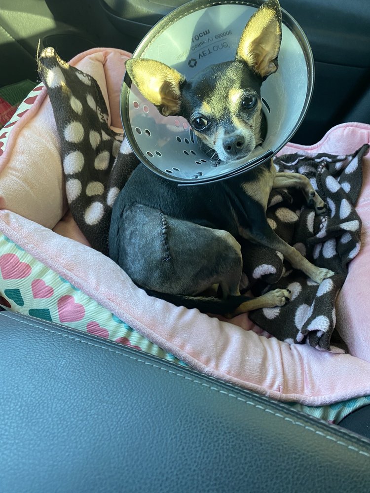 NEIGHBORHOOD VETERINARY CENTERS GROVES Updated September 2024 16