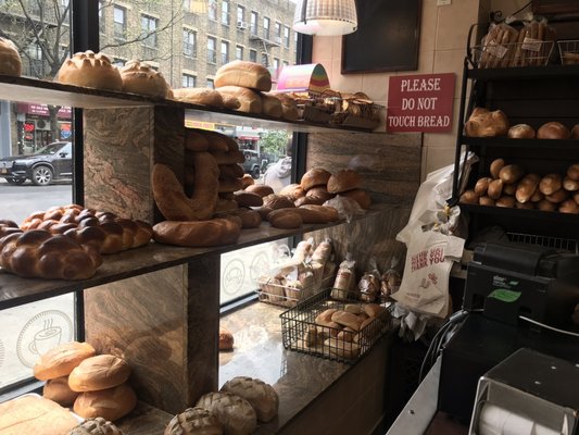 Parisi Bakery by null Parisi Bakery by null