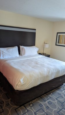 Holiday Inn Express Augusta Downtown by IHG by null