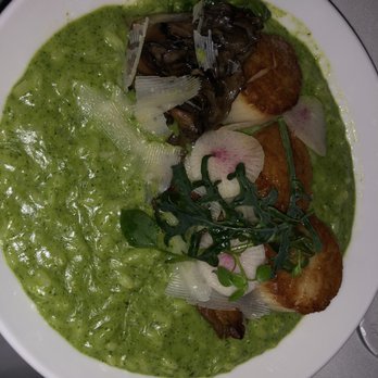 Spruce - Scallops with the risotto special - American Near Me - San Francisco, California