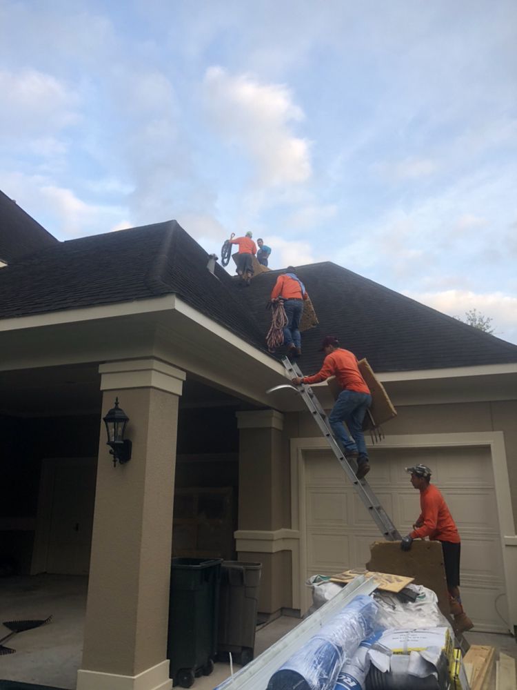 Slide of Alpha 1 Restorations