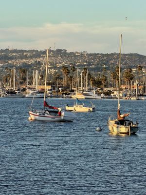 Mission Beach Park by null