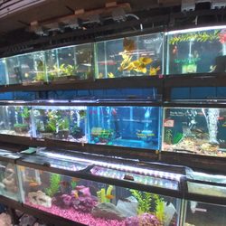 Brooklyn Pet Supply