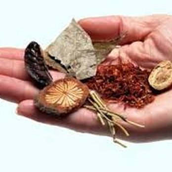 Acupuncture Solutions - Chinese Herbal Therapy - Acupuncture Near Me - Indialantic, Florida Acupuncture Solutions - Chinese Herbal Therapy - Acupuncture Near Me - Indialantic, Florida