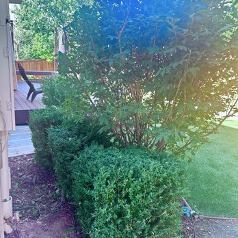 Clean is Green - Very nice trim job on the hedges. They made room between the house and the hedges, which is perfect. - Lawn Services Near Me