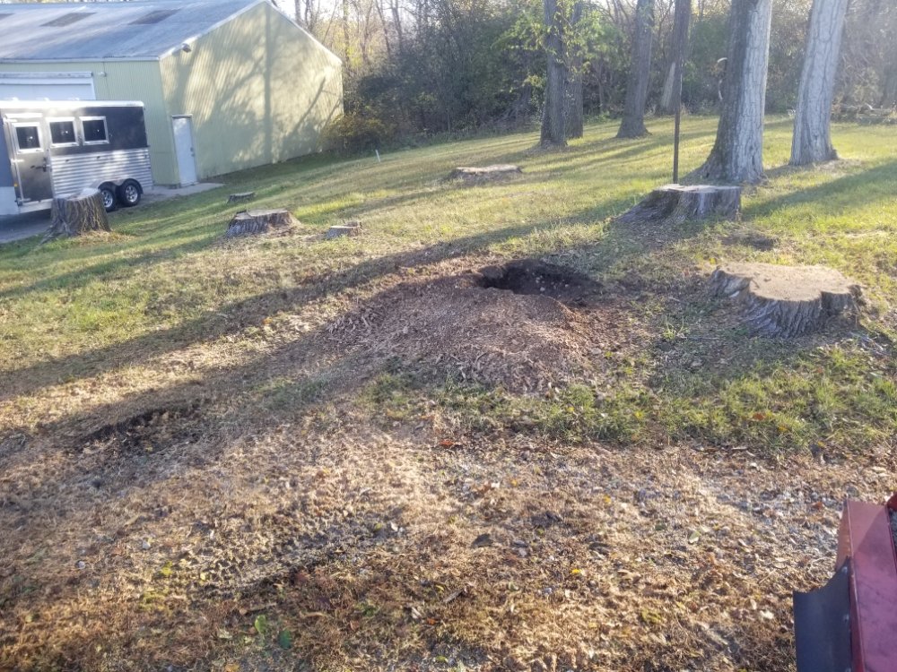 Slide of BFH Services