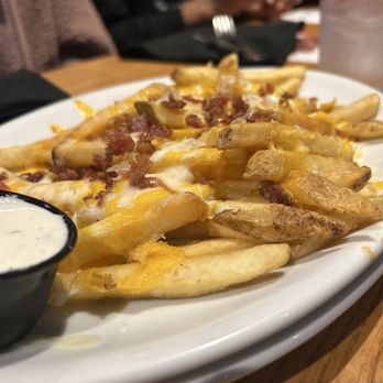 Glory Days Grill - American Near Me - Tallahassee, Florida Glory Days Grill - American Near Me - Tallahassee, Florida