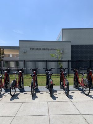 BALD EAGLE RECREATION CENTER - Updated January 2025 - 100 Joliet St