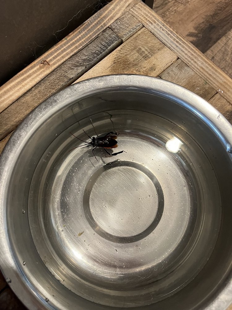 WAXHAW MILL APARTMENTS Updated July 2024 242 Price St, Waxhaw