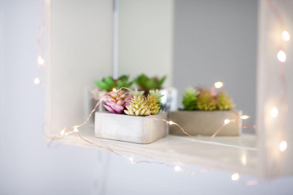 DIME SALON Updated August 2024 24 Photos 2167 Gottingen Street