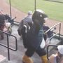 Photo of JAMESTOWN JAMMERS