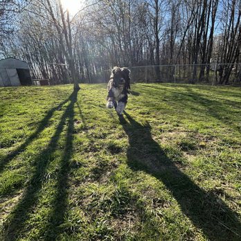 Cozy Spring Kennels - Pet Boarding Near Me - Mercer, Pennsylvania Cozy Spring Kennels - Pet Boarding Near Me - Mercer, Pennsylvania