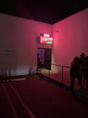 The Little Friend by null