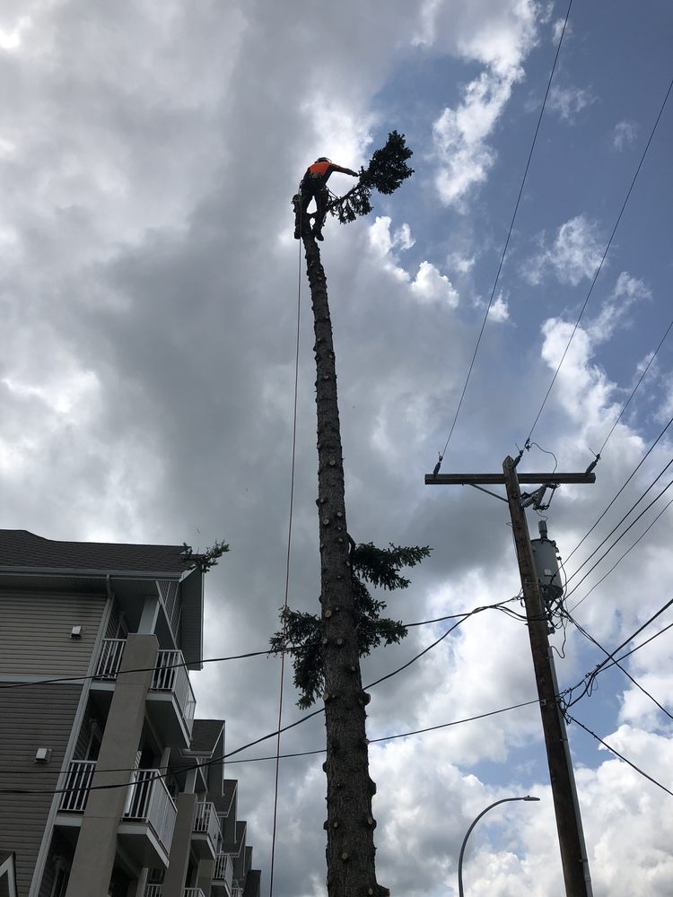 THE JOHNNY APPLESEED PROJECT Updated September 2024 Request a Quote