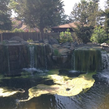 Lawler Falls Park - The smelly waterfall - Parks Near Me - Suisun City, California Lawler Falls Park - The smelly waterfall - Parks Near Me - Suisun City, California