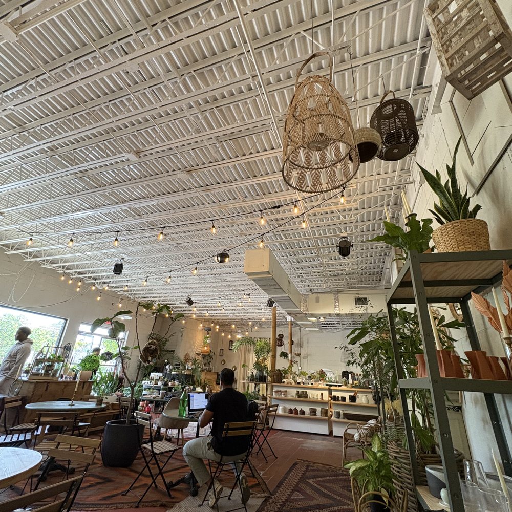 Black Phin - Coffee & Tea Near Me - Winter Park, Florida Black Phin - Coffee & Tea Near Me - Winter Park, Florida