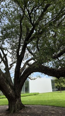 Menil Drawing Institute by null