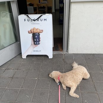 Fulcrum Café - The world is basically ending because the coffee shop was closed one afternoon so no biscuit - Coffee & Tea Near Me - Seattle, Washington