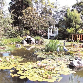 Rancho Santa Fe Pond Service - info@ranchosantafeponds.com - General Contractors Near Me Rancho Santa Fe Pond Service - info@ranchosantafeponds.com - General Contractors Near Me