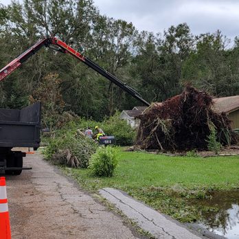 Monkey Business Tree & Crane Service - Grapple Saw reach. - Tree Services Near Me - Winter Haven, Florida Monkey Business Tree & Crane Service - Grapple Saw reach. - Tree Services Near Me - Winter Haven, Florida