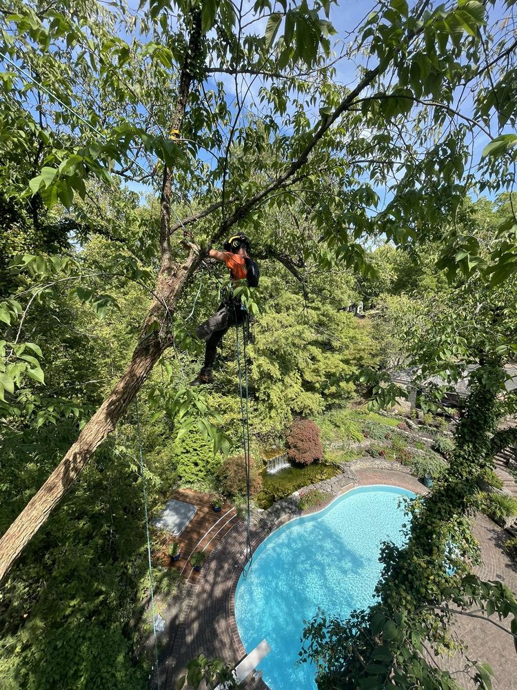 Uninhabited - tree service in Columbus, OH