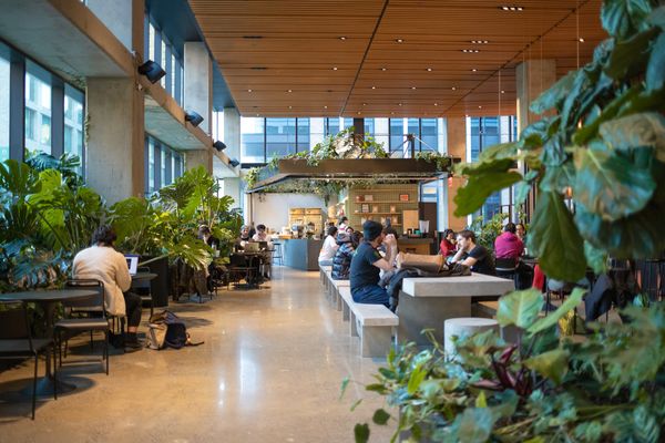 VITAL Climbing Gym - Lower East Side by null