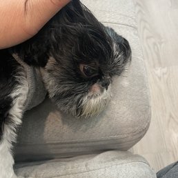 Cut too close to his skin.