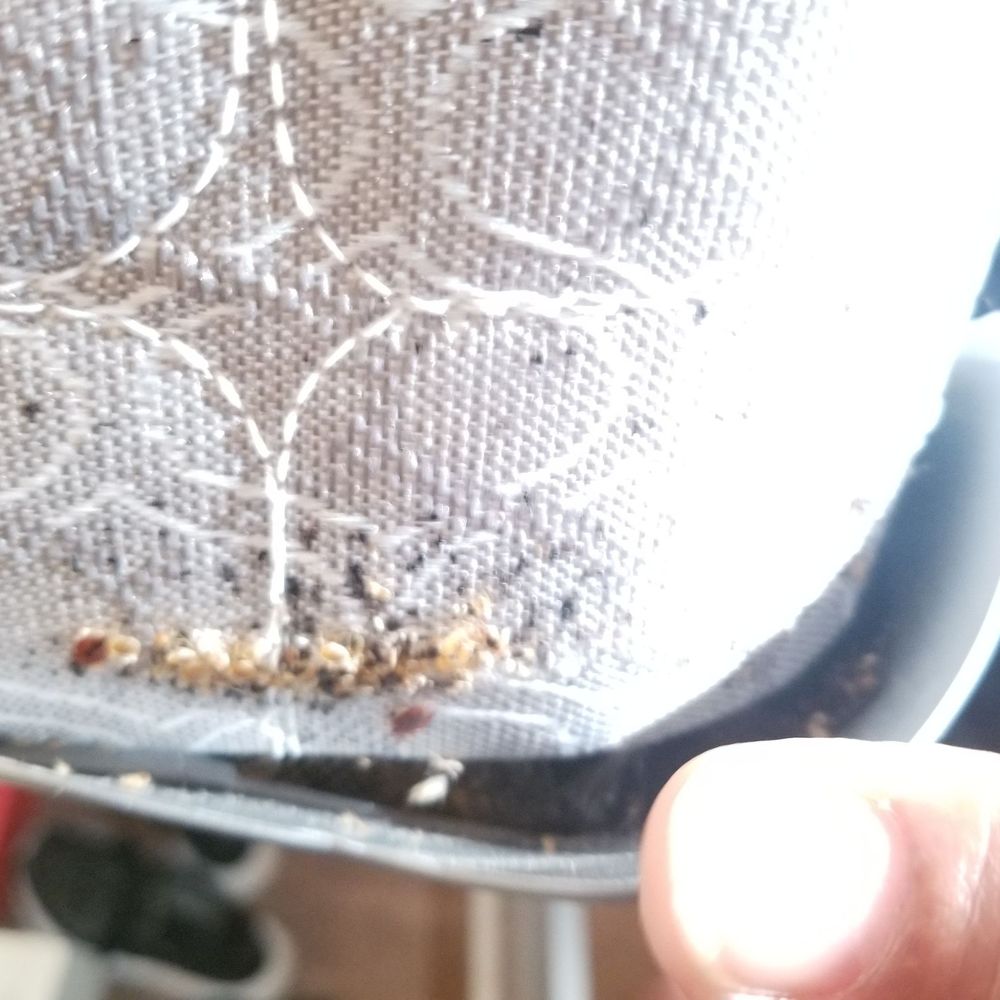 Top 10 Best Used Furniture Stores in El Paso, TX - Last Updated August