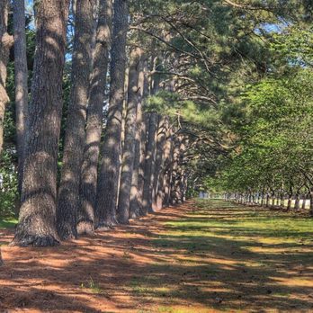 Red Wing Park - Dog Parks Near Me - Virginia Beach, Virginia