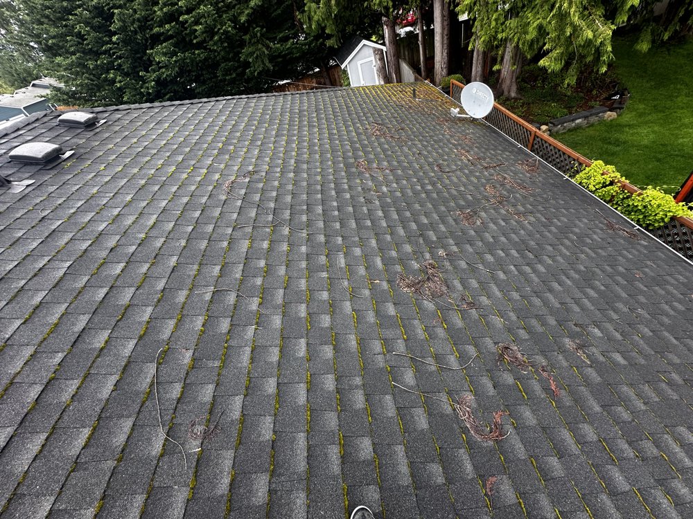 Slide of Apex Pro Kleening