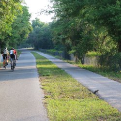 Tarpon Toms Bike Shop - Bike path and pedestrian path diverge in some sections of the Pinellas Trail