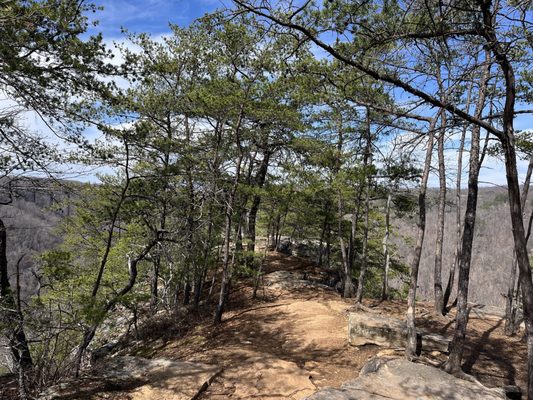 New River Gorge National Park & Preserve by null