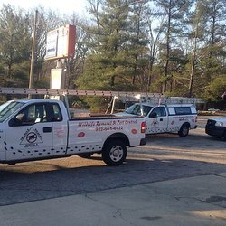 Triangle Wildlife Removal & Pest control