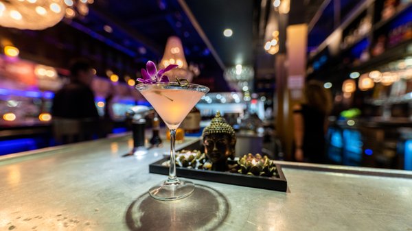 Bombay Darbar Indian Restaurant by null