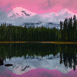 Northwest Cosmetic Surgery