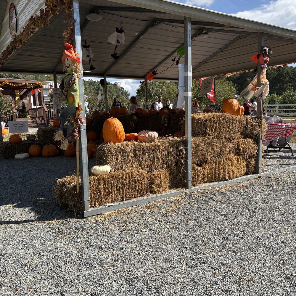 Millstone Creek Orchards - Checkin area - Fruits & Veggies Near Me - Ramseur, North Carolina Millstone Creek Orchards - Checkin area - Fruits & Veggies Near Me - Ramseur, North Carolina