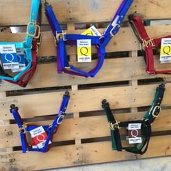 Franco's Feed - Need some halter stop by :) !!!!