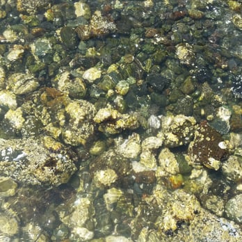 Mike's Beach Resort - Clear water! - Resorts Near Me - Lilliwaup, Washington Mike's Beach Resort - Clear water! - Resorts Near Me - Lilliwaup, Washington