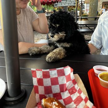 Biercamp - Allows dogs. We had lots of brats, pretzel, tots, and beeeer! - Meat Shops Near Me - Ann Arbor, Michigan