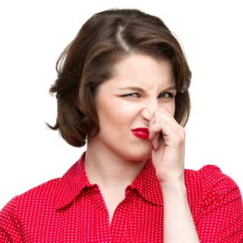 Bio Guardian NJ - We can remove the most stubborn odors from smoke and pets from your home. - Home Cleaning Near Me - Wanaque, New Jersey Bio Guardian NJ - We can remove the most stubborn odors from smoke and pets from your home. - Home Cleaning Near Me - Wanaque, New Jersey