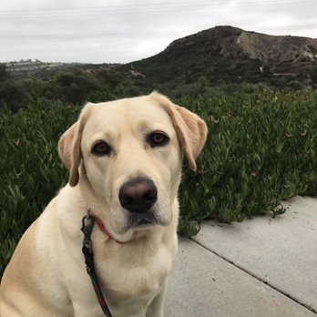 Calavera Lake - Dogs are allowed on leash - Hiking Near Me - Carlsbad, California Calavera Lake - Dogs are allowed on leash - Hiking Near Me - Carlsbad, California