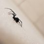 Photo of JK Pest & Termite