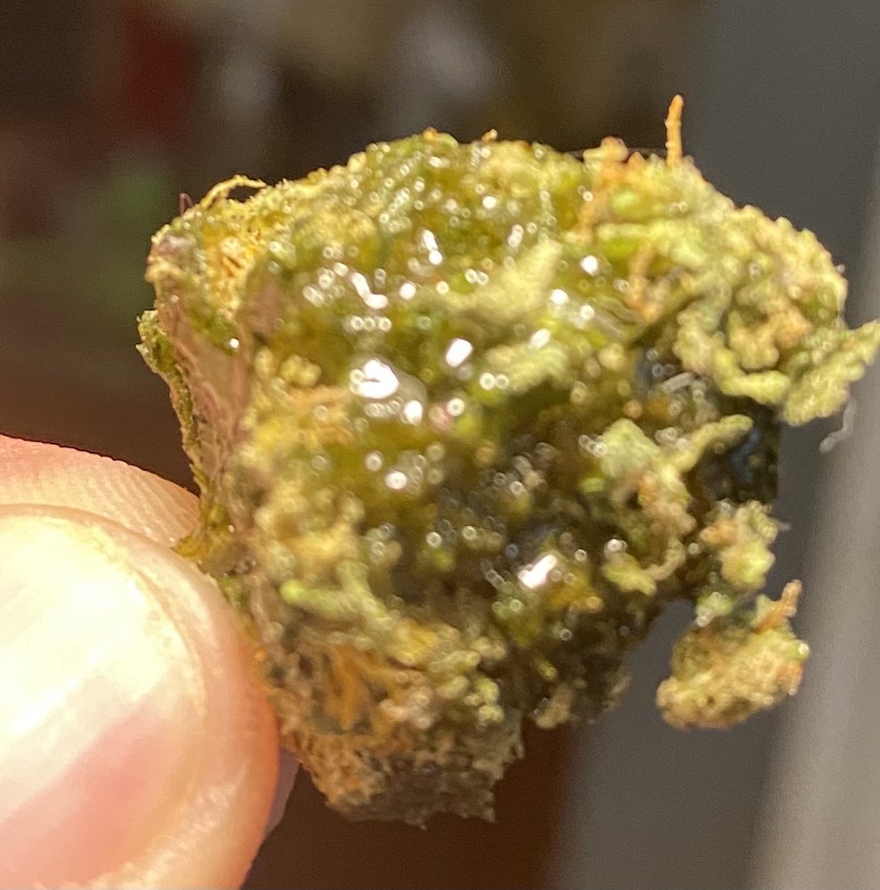 R.GREENLEAF WEST SIDE 21 Photos & 15 Reviews 5201 Ouray Rd NW