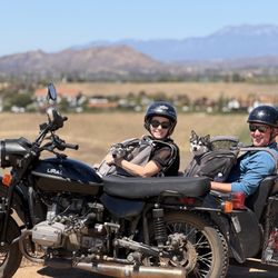 Sidecar Tours