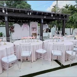 Fairy Godmother Party Rental