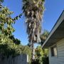 North Roots Tree Care