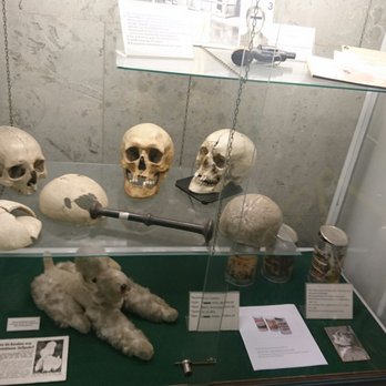 Polizeihistorische Sammlung - Kriminelle Kopfsache - Museums Near Me - Berlin, BE