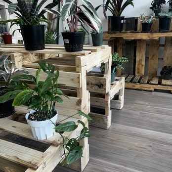 Rooted Garden Supply - Hydroponics Near Me - Concord, California