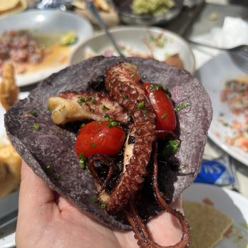 Holbox - TACO DE PULPO EN SU TINTA - Latin American Near Me - Los Angeles, California